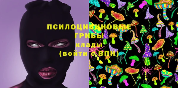 соль курить ск Медвежьегорск