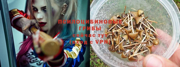 а пвп мука Медногорск