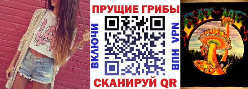 Псилоцибиновые грибы мицелий  Купить  Горбатов 